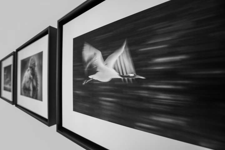 Gilles Martin's photograph from the limited edition Top Floor Studio