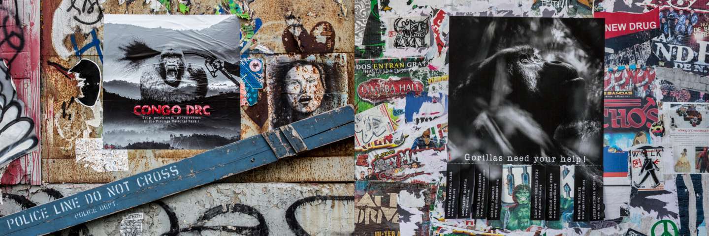 Gilles Martin's photograph from the limited edition Top Floor Studio