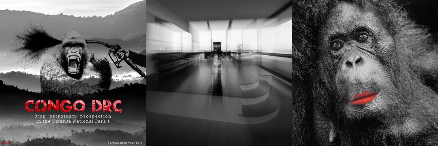 Photographie de Gilles Martin : Top Floor Studio