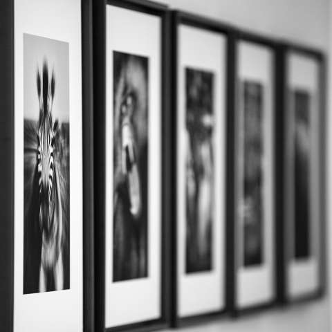 Photographie de Gilles Martin : Top Floor Studio