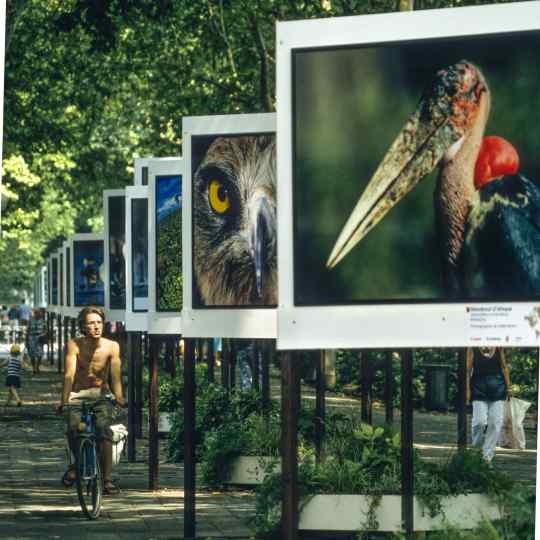 Gilles Martin's photograph from the exhibition Birds of the world