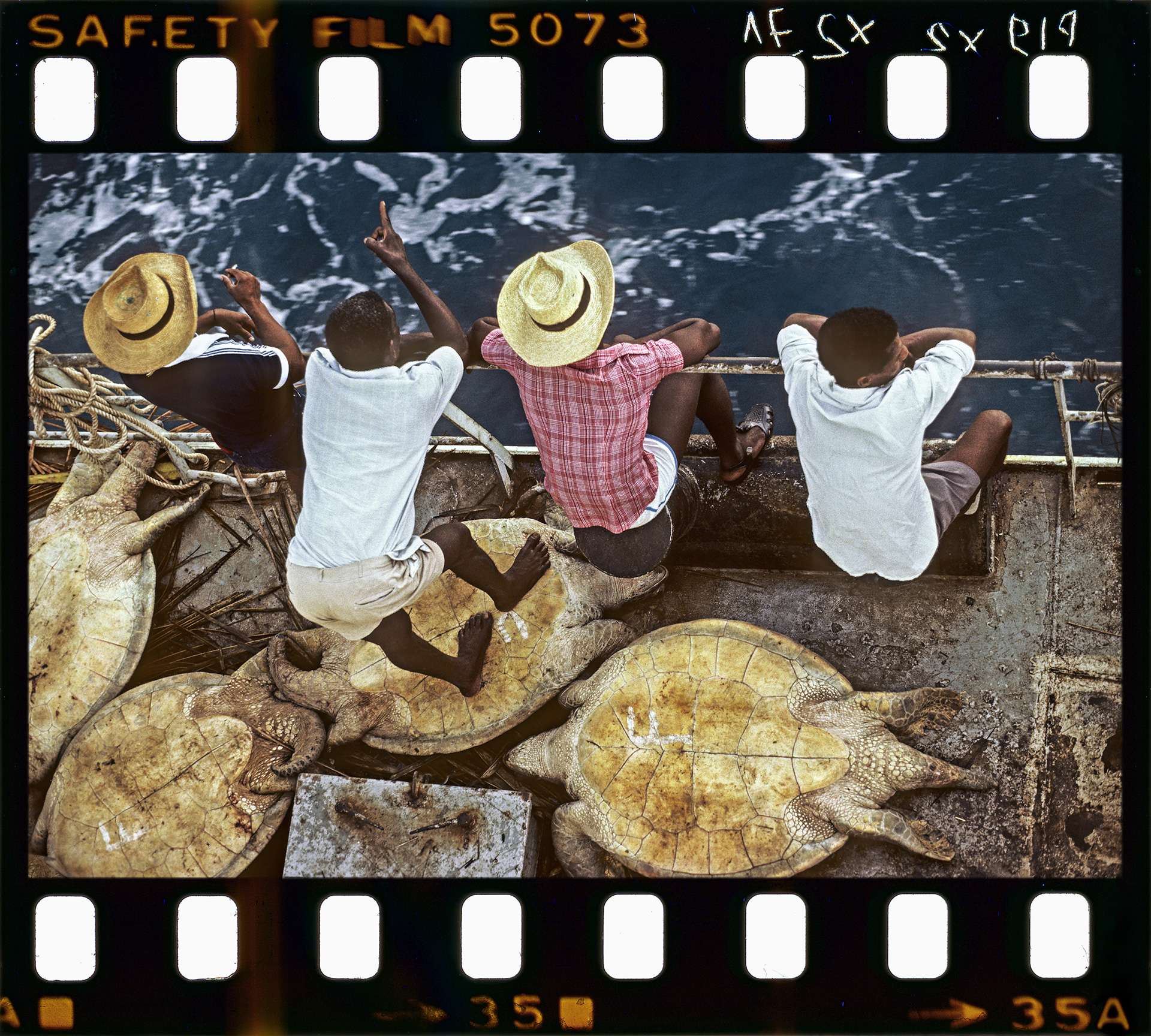 Photography by Gilles Martin of the sea turtles trafficking