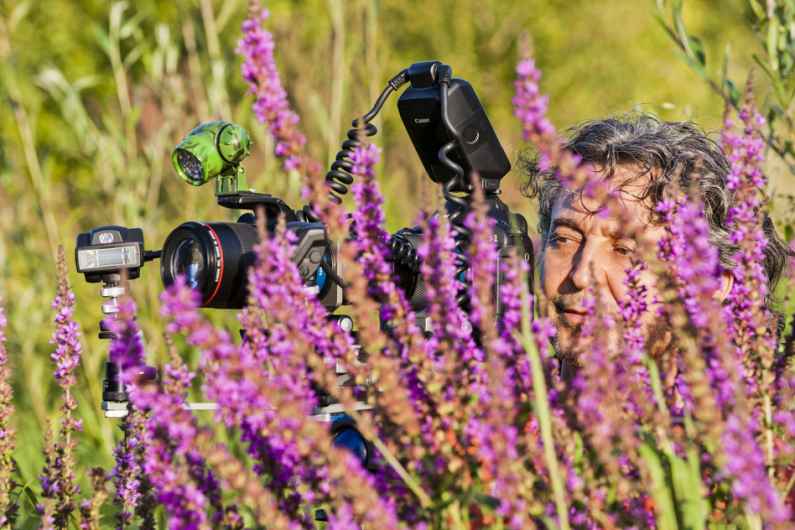 Photographie de Gilles Martin illustrant le stage photo de macrophotographie