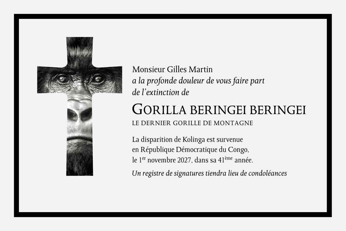 Photographie de Gilles Martin de l'exposition