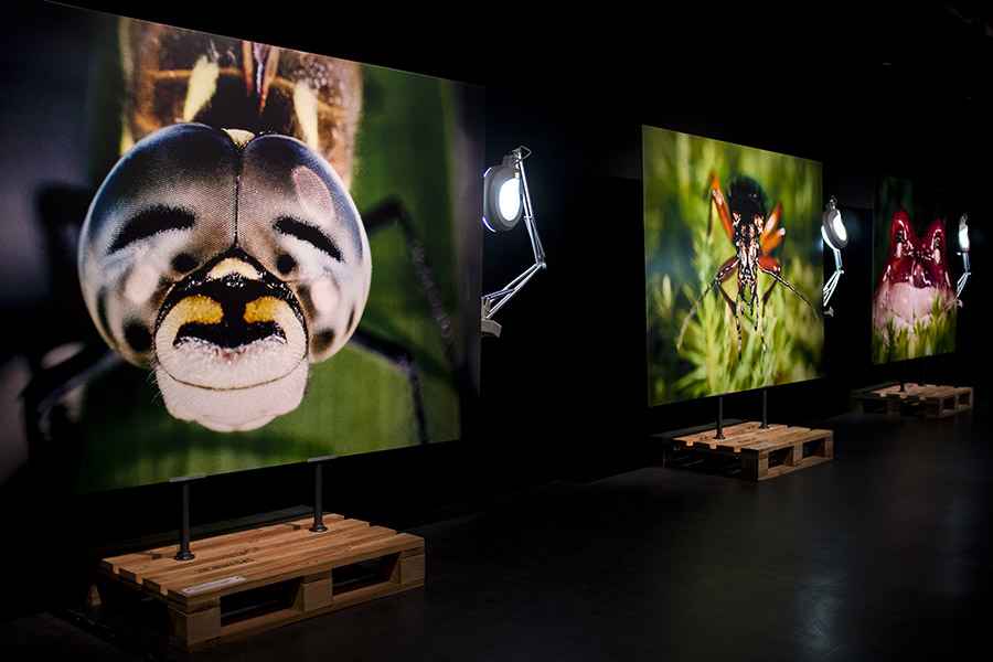 Photographie de Gilles Martin de l'exposition MicroMégas