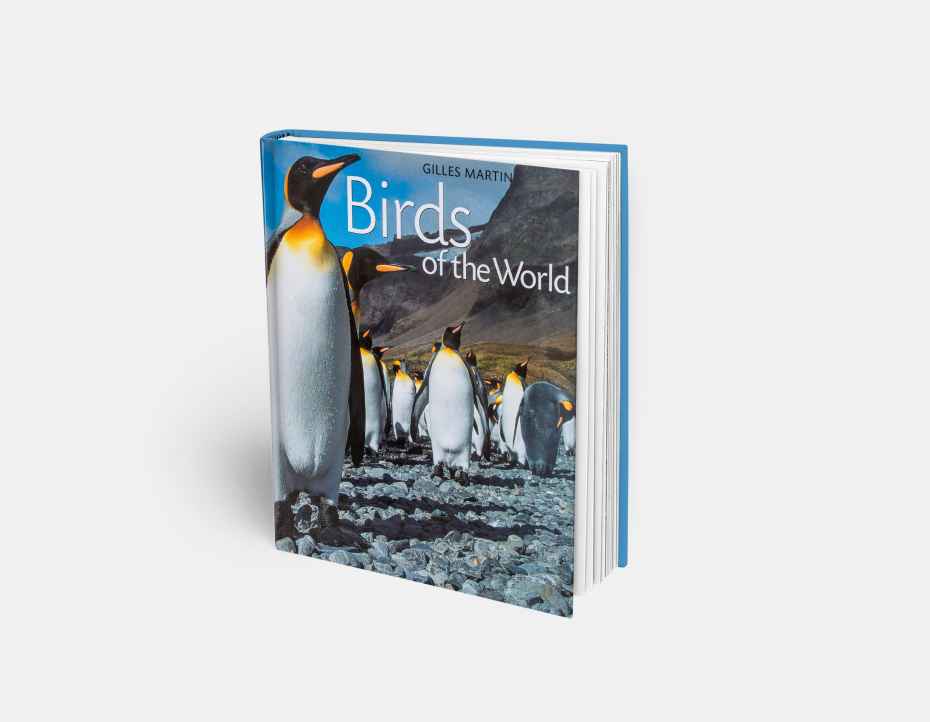 Livre "Birds of the world", disponible sur la boutique en ligne de Gilles Martin