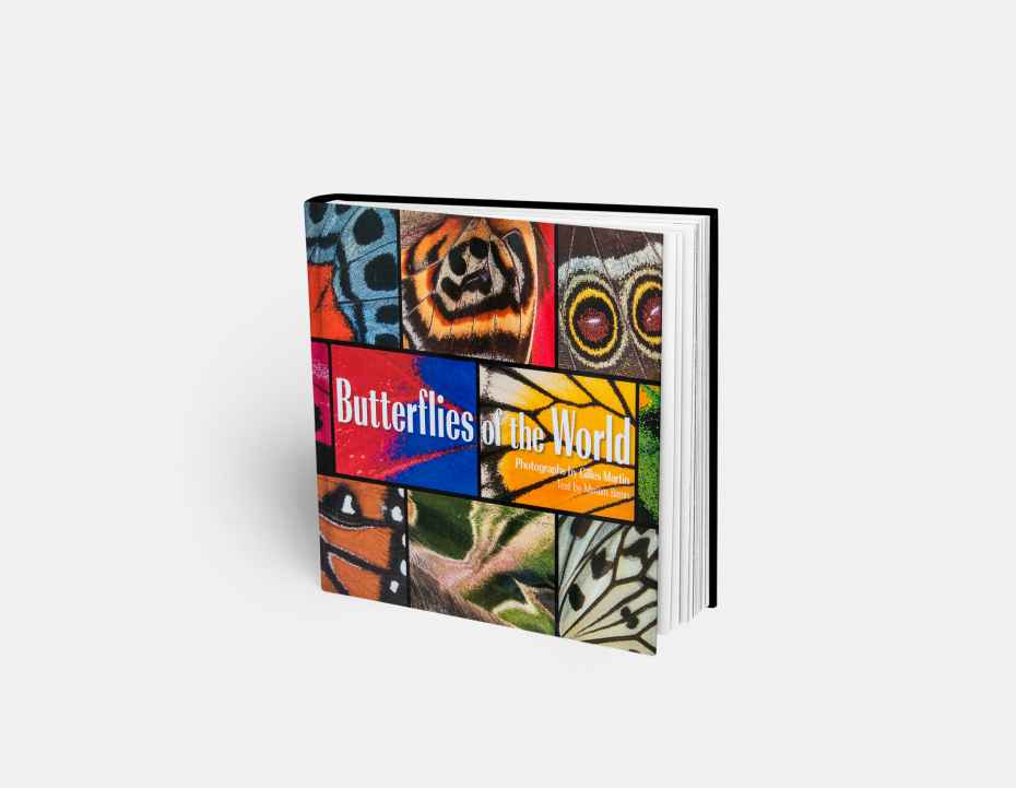 Livre "Butterflies of the World", disponible sur la boutique en ligne de Gilles Martin