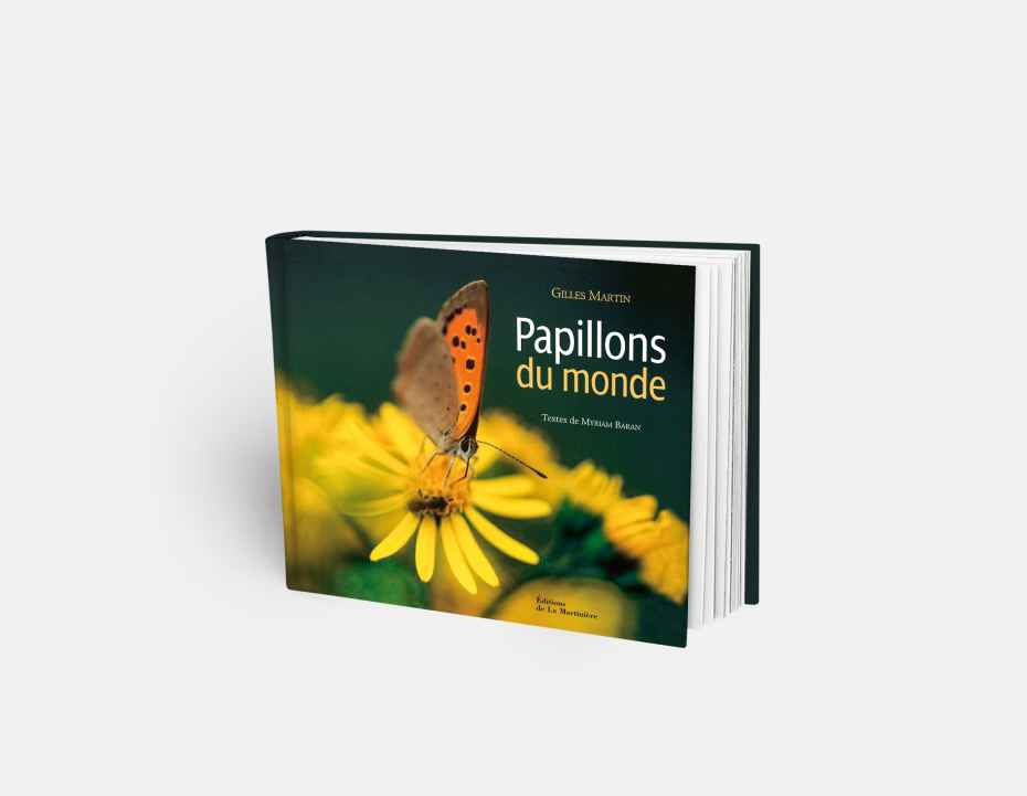 Livre "Papillons du monde", disponible sur la boutique en ligne de Gilles Martin