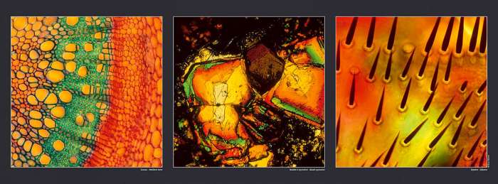 Affiche Sureau - Basalte à pyroxène - Diptère, disponible sur la boutique de Gilles Martin