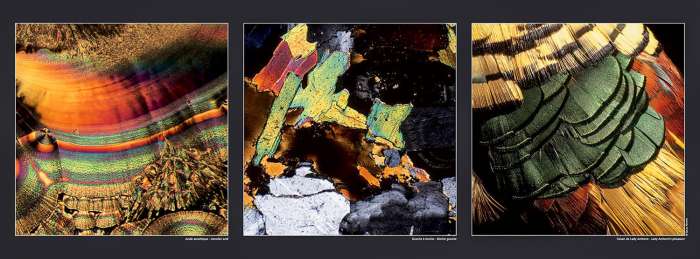 Poster Ascorbic acid - Biotite granite - Lady Amherst pheasant , available on Gilles Martin's shop